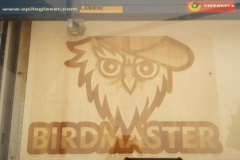 Birdmaster logo uit hardhout (6mm dik)